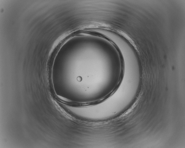 X0000068841122200605051255