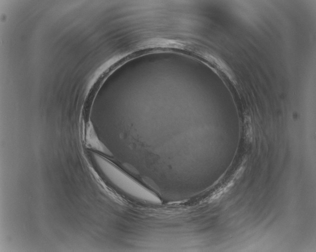 X0000068841125200605051255