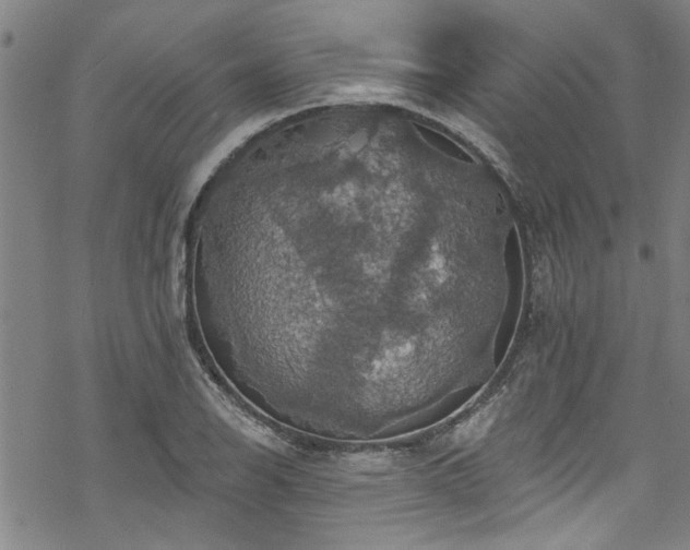 X0000068841126200605051255