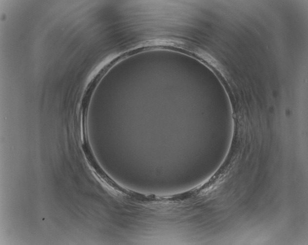 X0000068841127200605051255