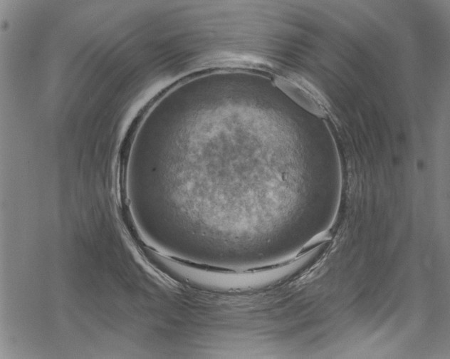 X0000068841128200605051255