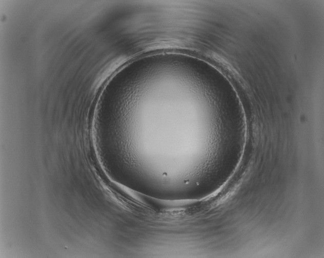 X0000068841129200605051255