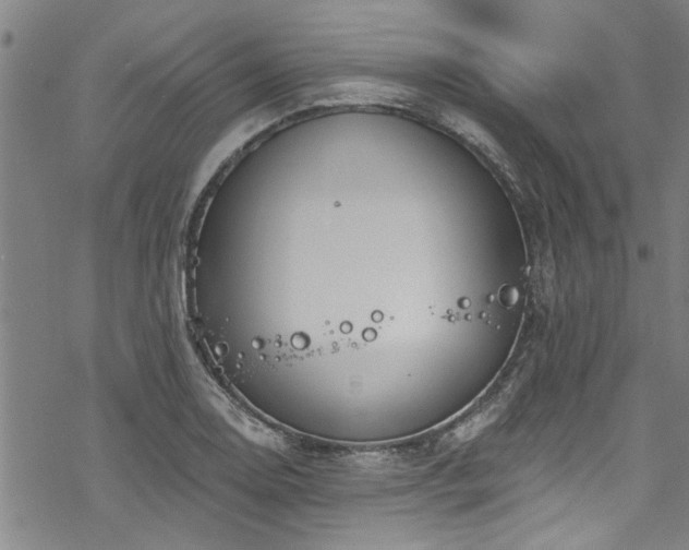 X0000068841130200605051255