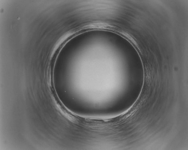 X0000068841131200605051255