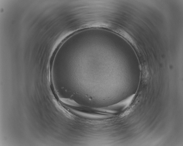 X0000068841132200605051255