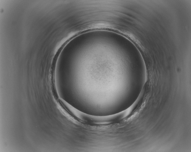 X0000068841134200605051255