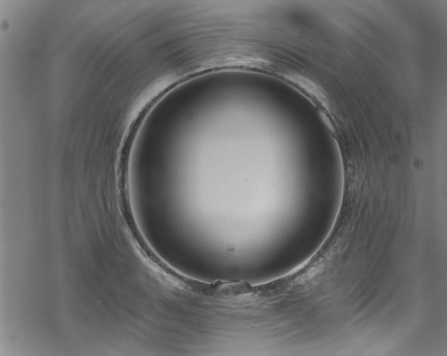 X0000068841135200605051255