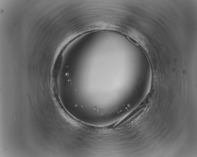 X0000068841136200605051255