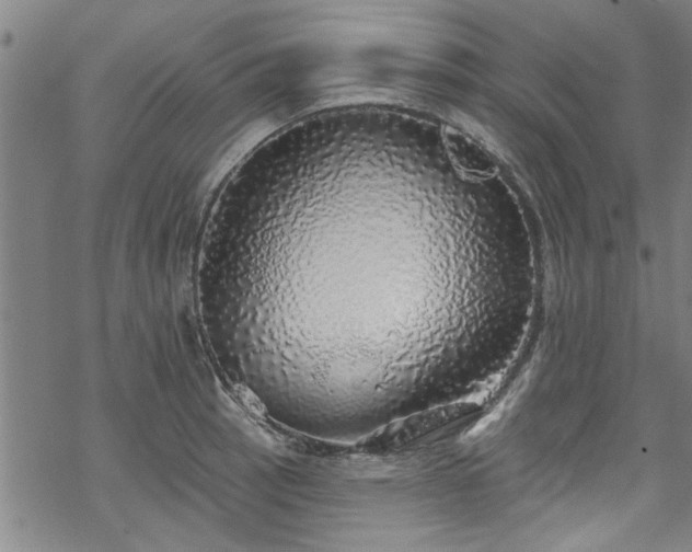 X0000068841137200605051255