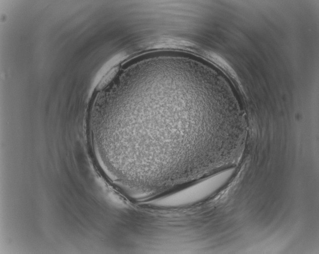 X0000068841138200605051255