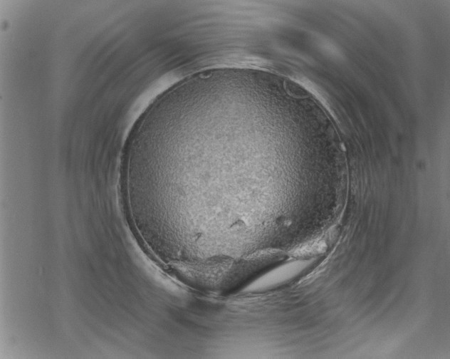 X0000068841139200605051255