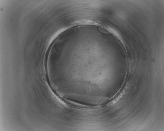 X0000068841141200605051255