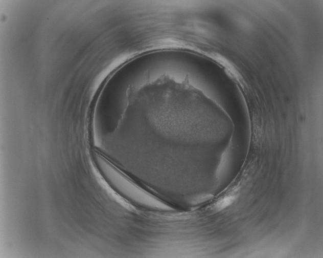 X0000068841142200605051255