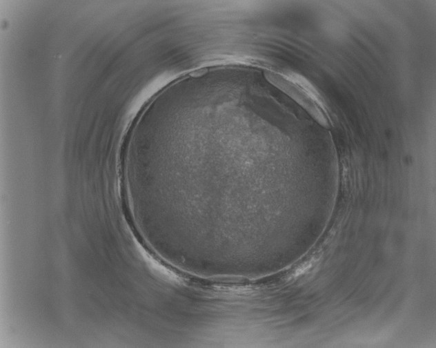 X0000068841143200605051255