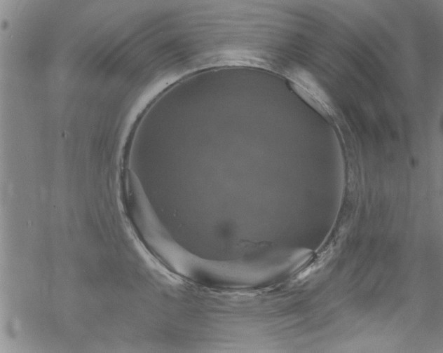 X0000068841144200605051255