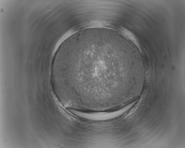 X0000068841146200605051255