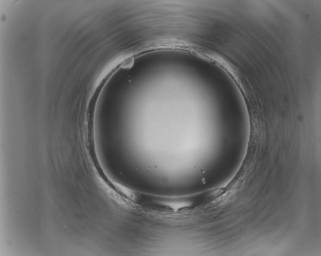 X0000068841147200605051255