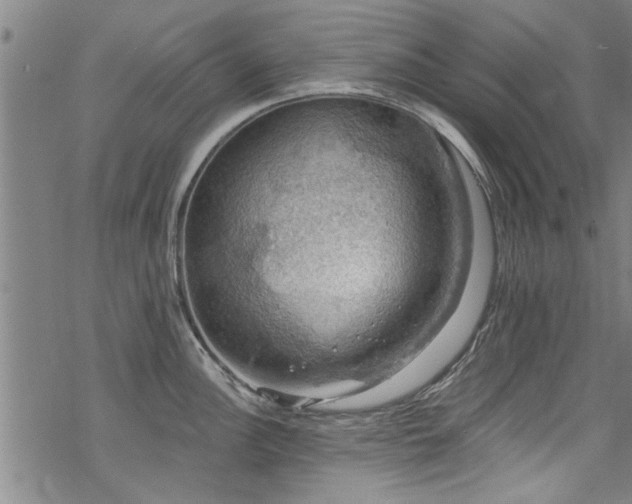 X0000068841148200605051255