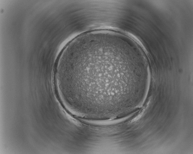 X0000068841149200605051255