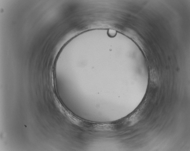 X0000068841150200605051255