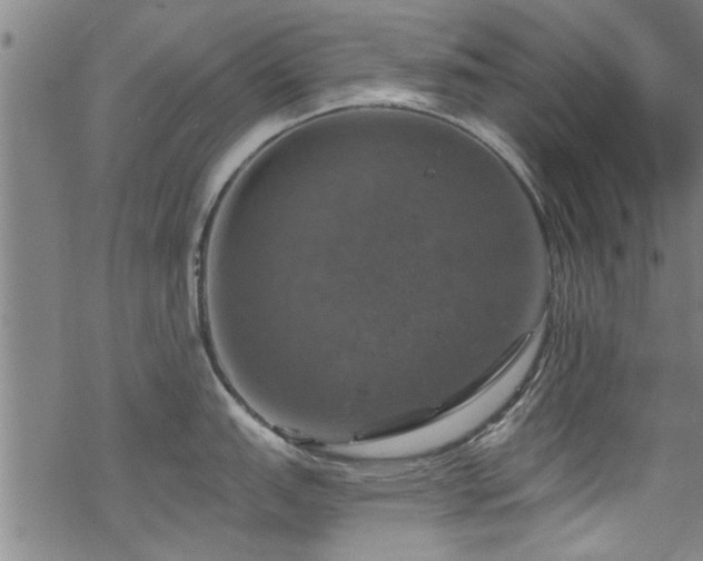 X0000068841151200605051255