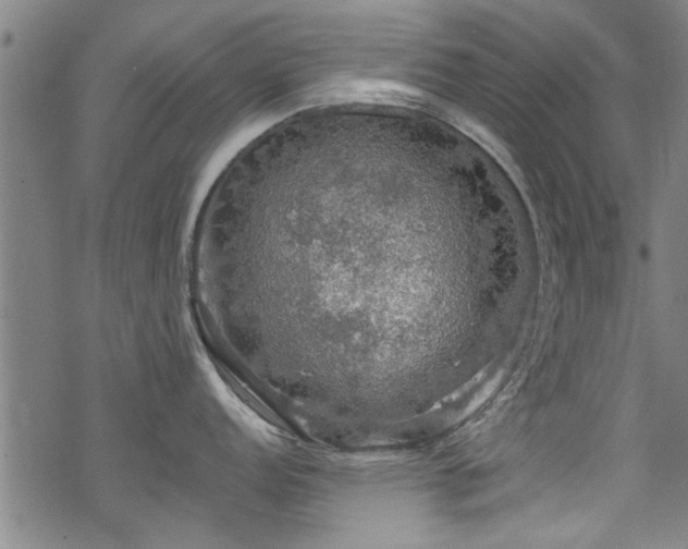 X0000068841152200605051255