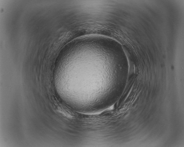 X0000068841153200605051254