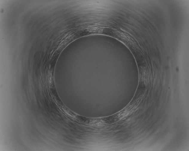 X0000068841154200605051254