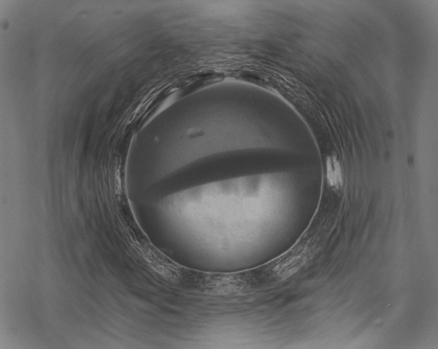 X0000068841155200605051254