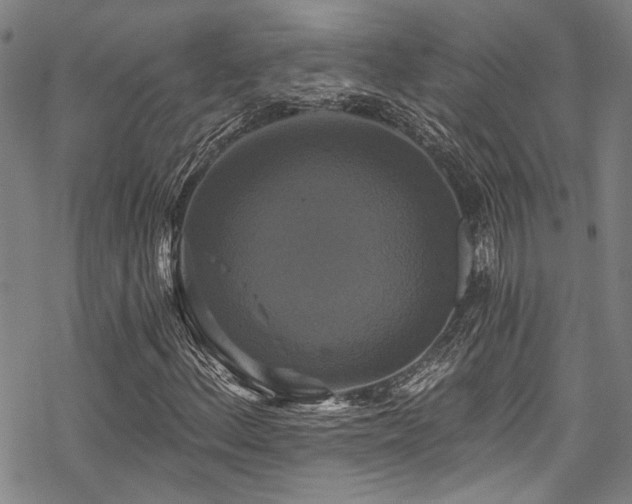 X0000068841156200605051254