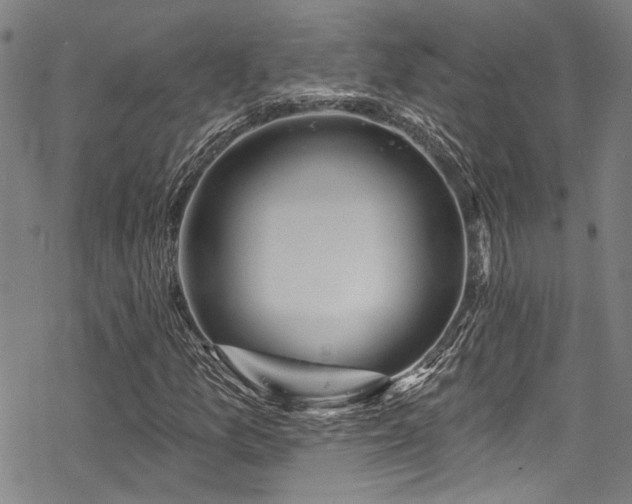 X0000068841157200605051254