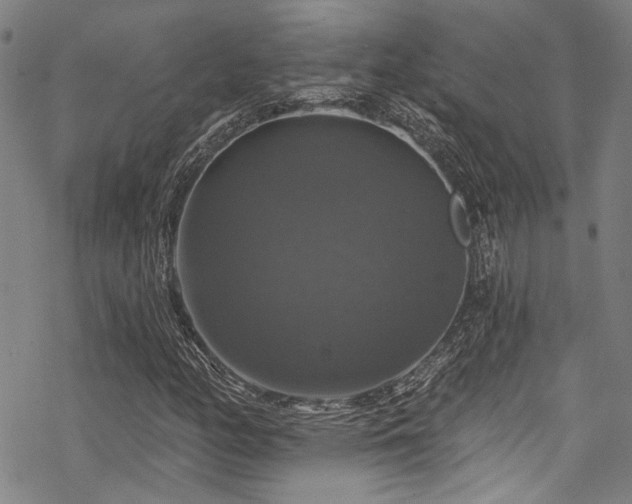 X0000068841158200605051254