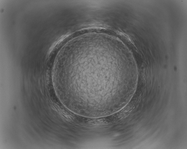 X0000068841159200605051254