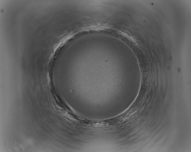 X0000068841160200605051254