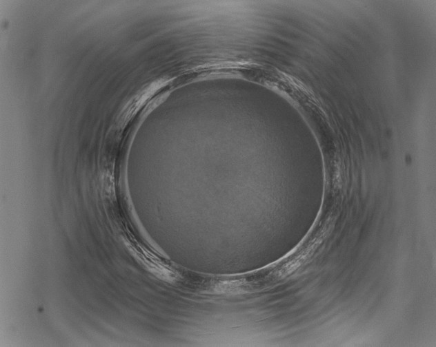 X0000068841161200605051254