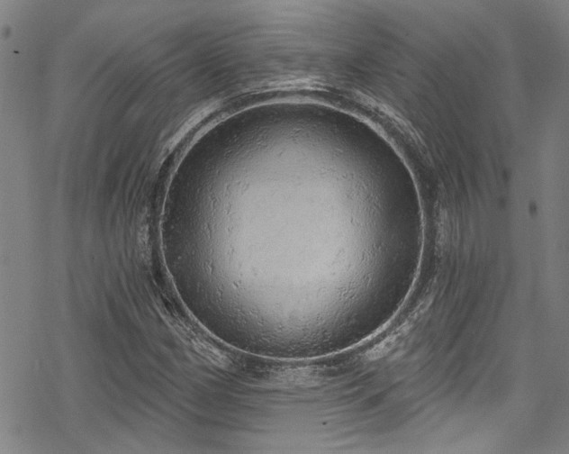 X0000068841162200605051254