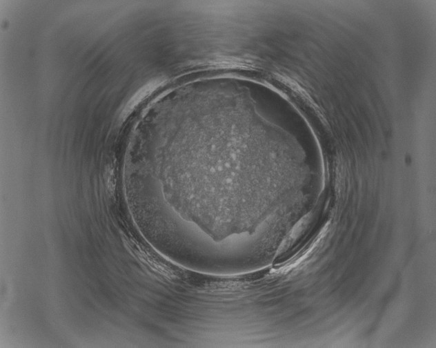 X0000068841163200605051254