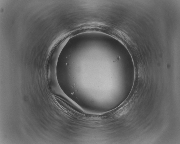 X0000068841164200605051254