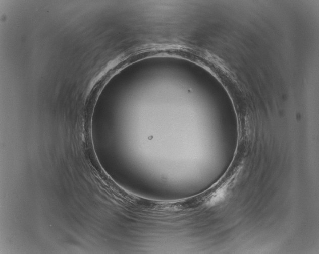 X0000068841165200605051254