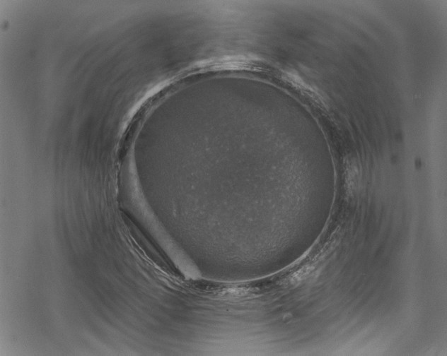 X0000068841166200605051254