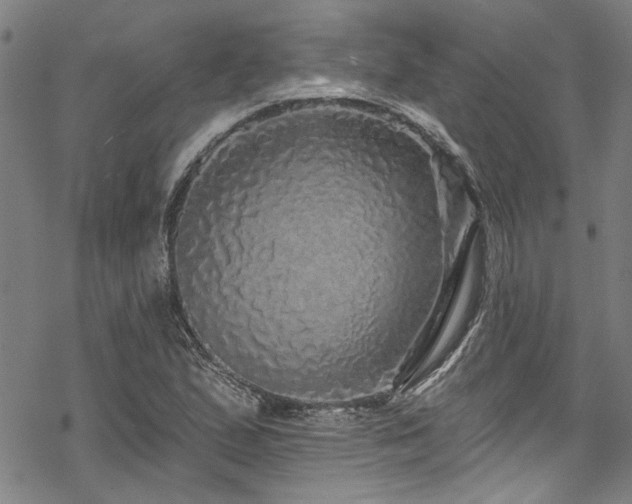 X0000068841167200605051254