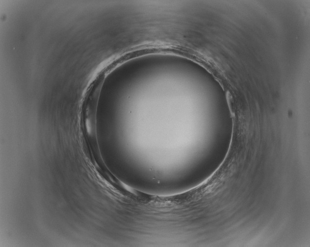 X0000068841168200605051254