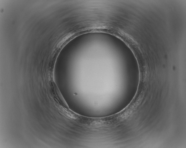 X0000068841169200605051254