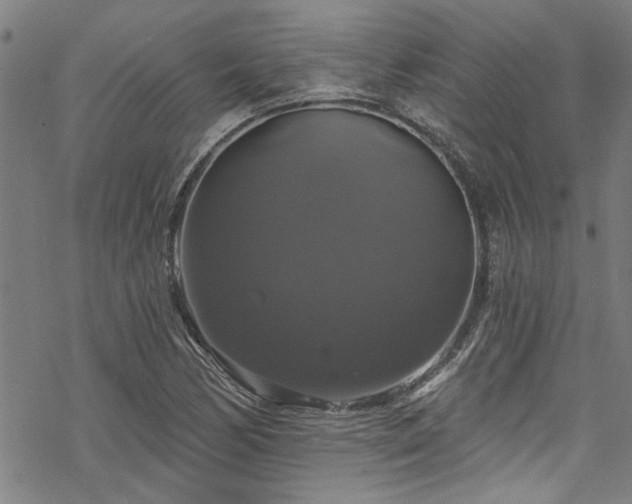 X0000068841170200605051254