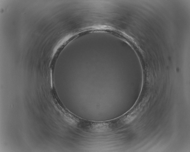 X0000068841171200605051254