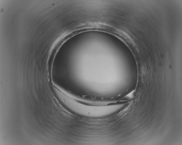 X0000068841172200605051254