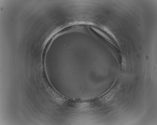 X0000068841173200605051254