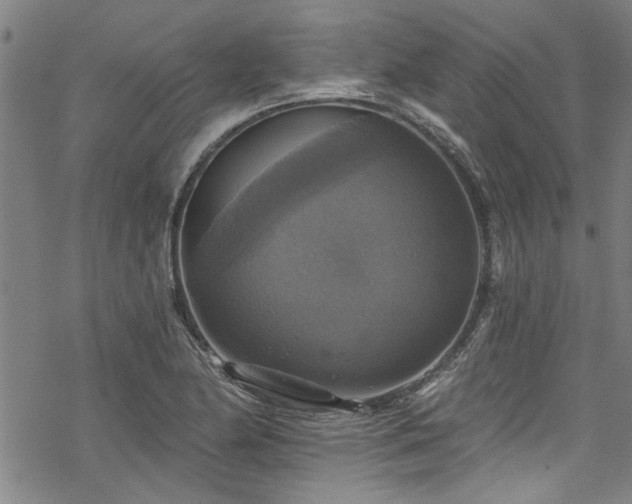 X0000068841174200605051254