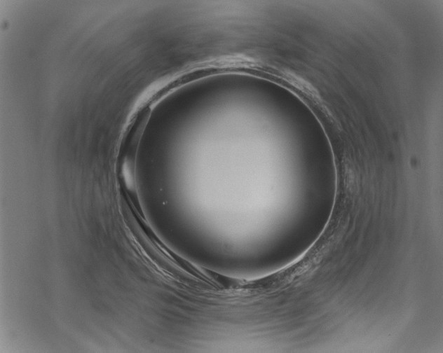 X0000068841176200605051254