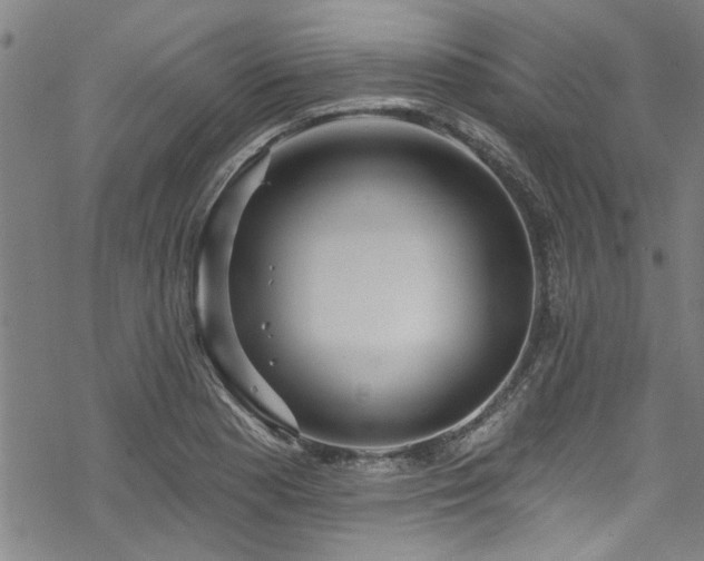 X0000068841177200605051254